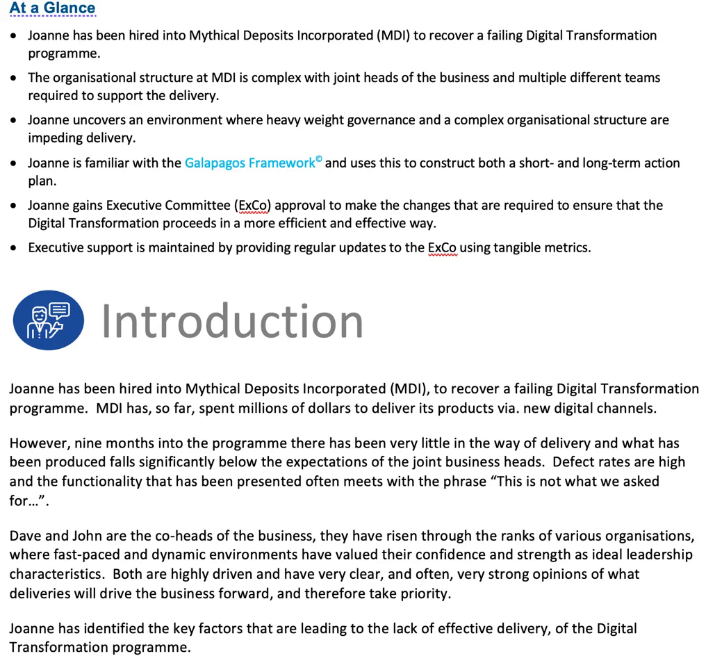 Governance Case Study - Page 1